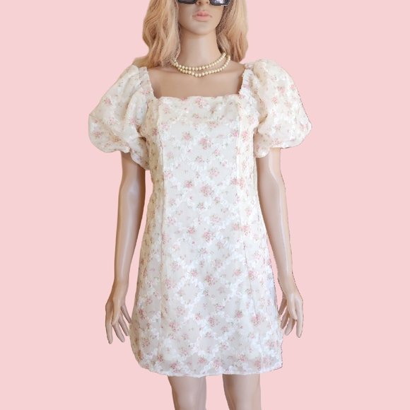 FANCY Amable by Mabel Cream Chiffon Mini With Floral Detail, Sz M NWT - Picture 1 of 8